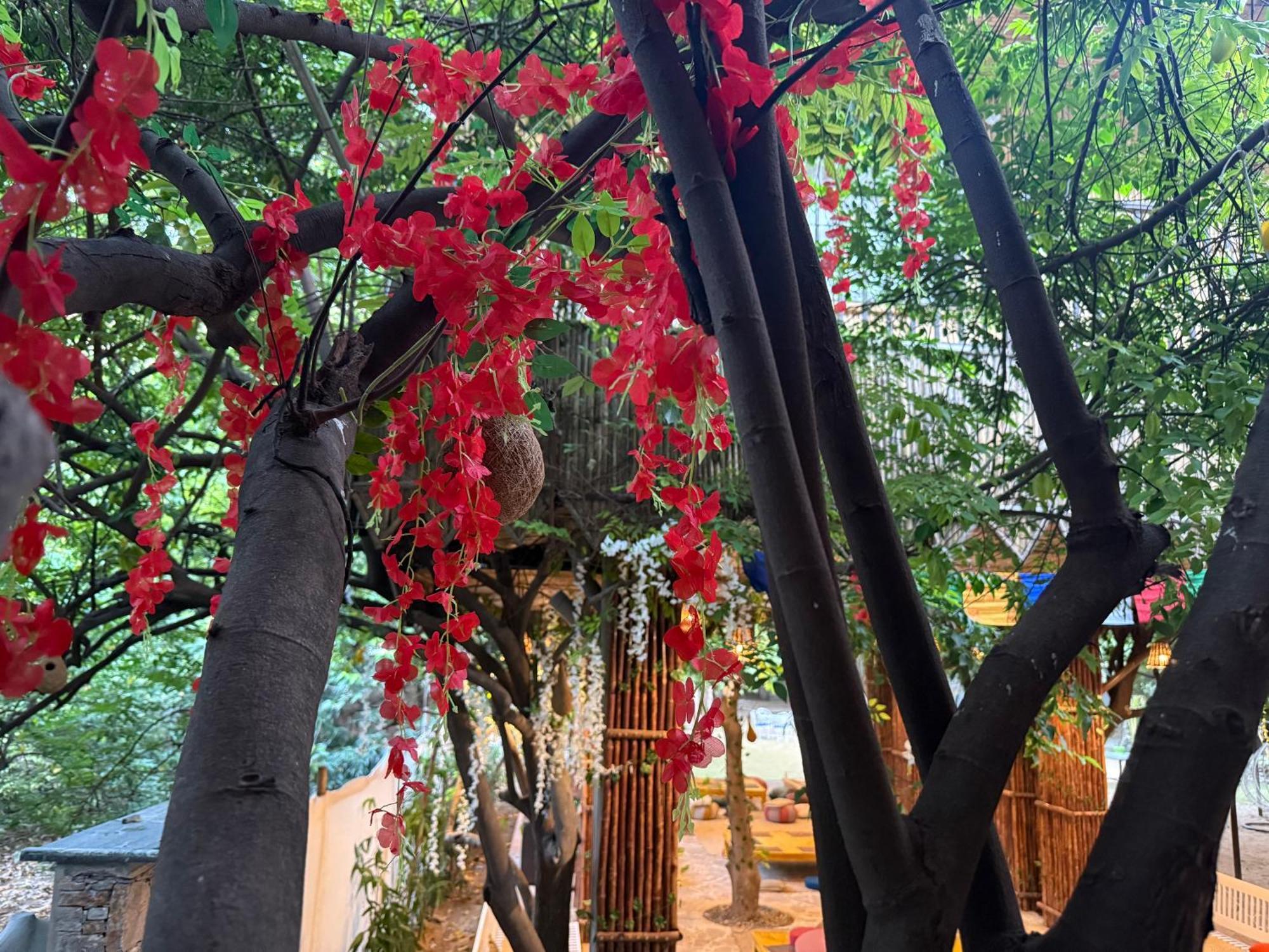 Hotel Green Heaven Resort Pushkar Extérieur photo