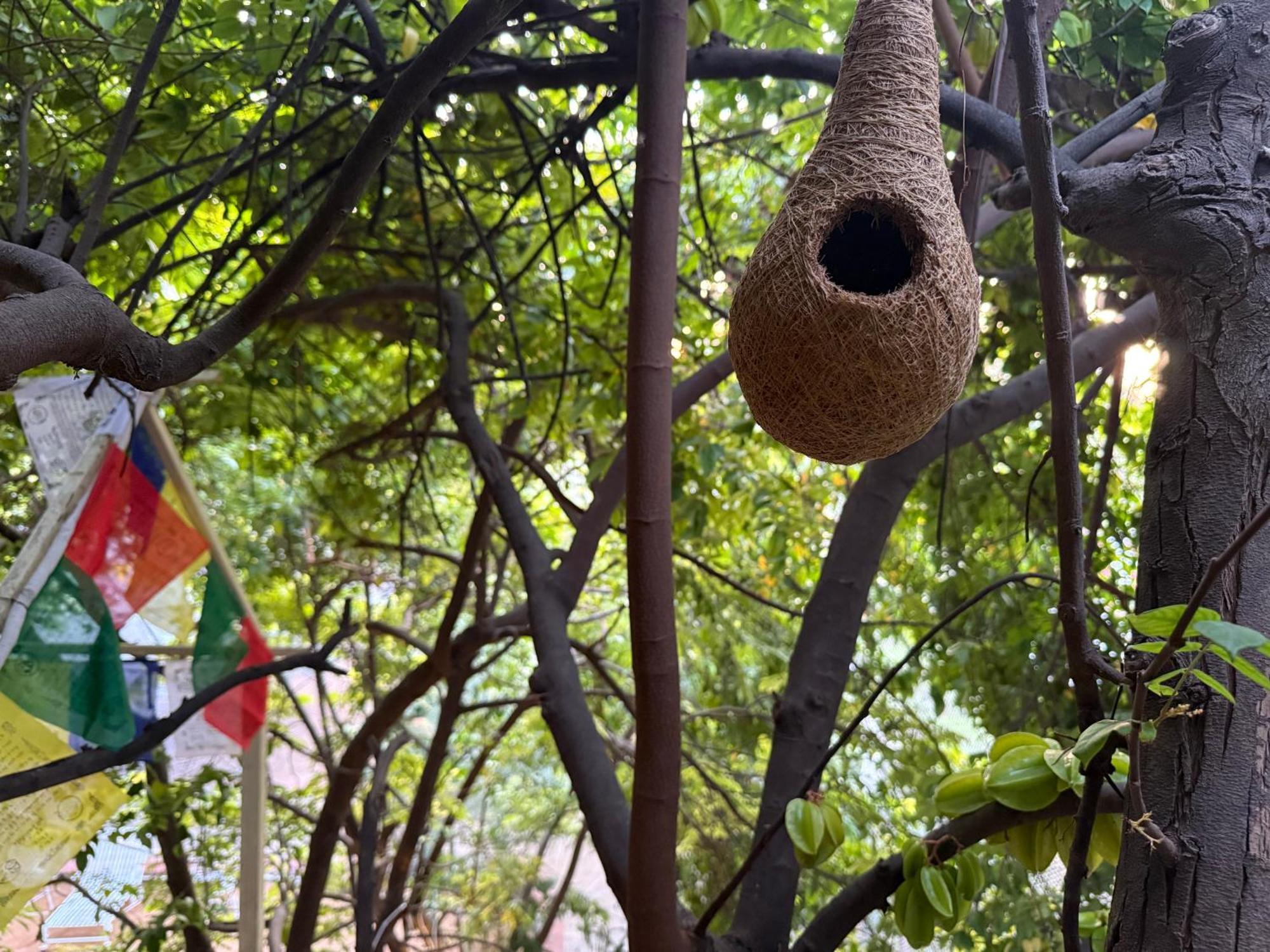 Hotel Green Heaven Resort Pushkar Extérieur photo