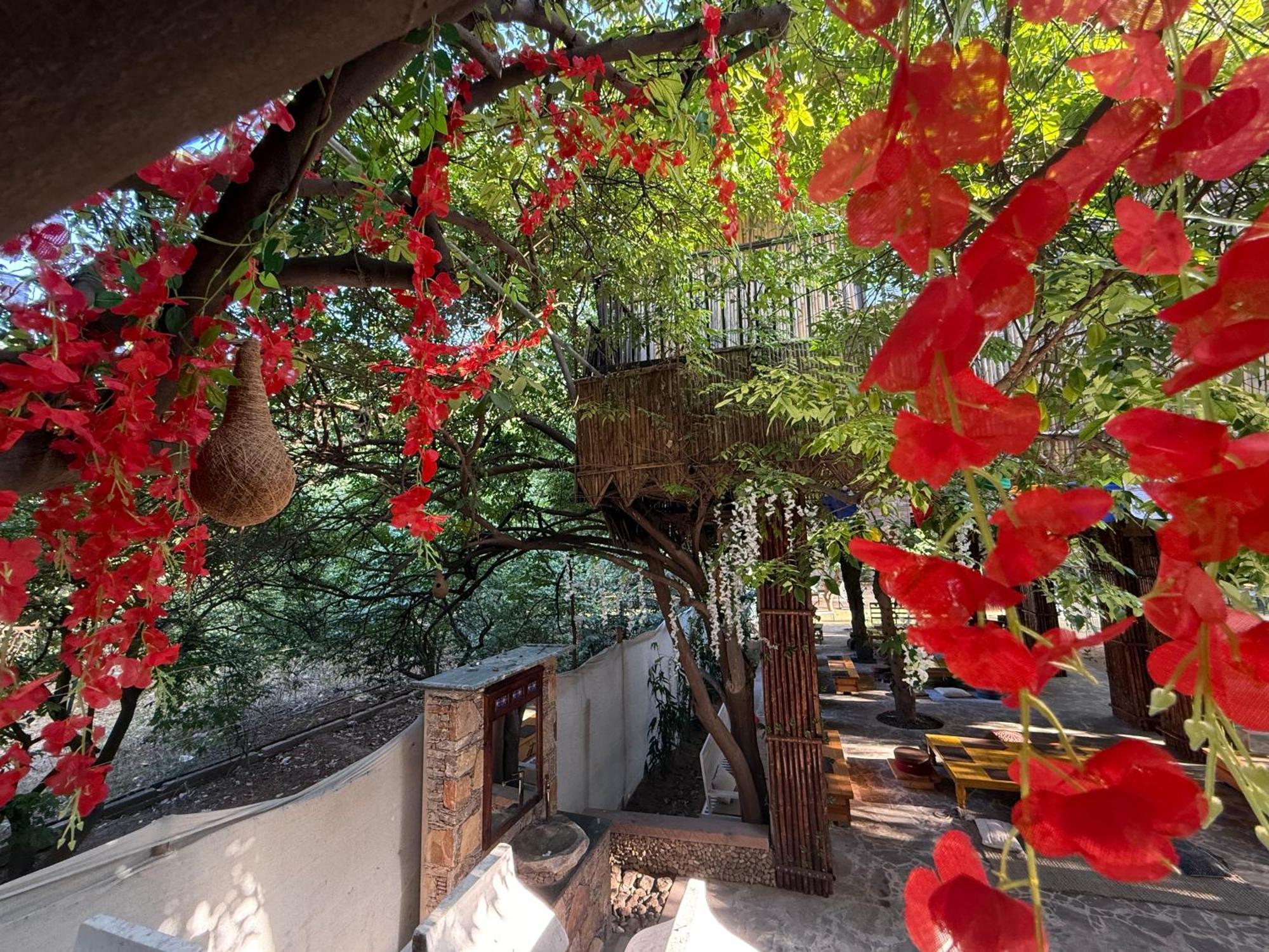 Hotel Green Heaven Resort Pushkar Extérieur photo
